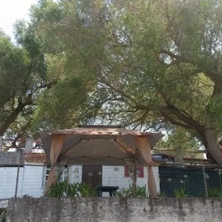 Apartmán Nuva *